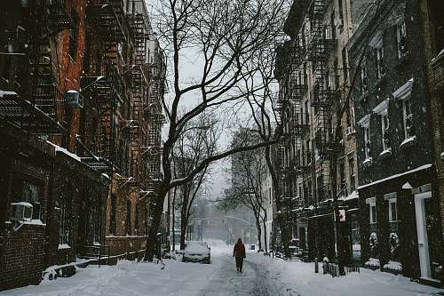 winter person walking between buildings near withered tree snow